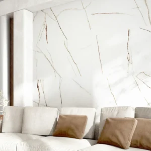 environment with porcelain cladding acquired from tile manufacturing company The Lion Tiles